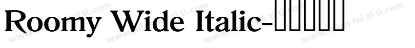 Roomy Wide Italic字体转换
